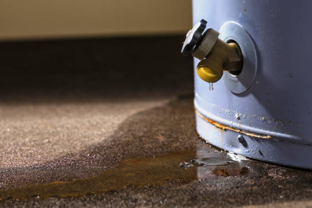 Best Water damage cleanup near me  in Congress, AZ