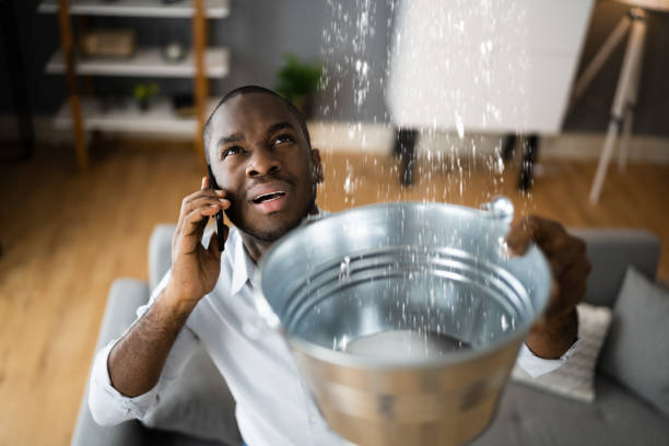 Best Fire Damage Restoration  in Congress, AZ