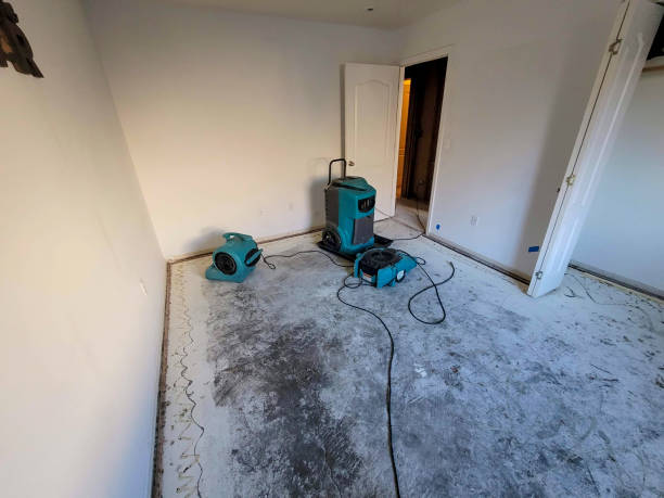 Best Water damage restoration specialists  in Congress, AZ
