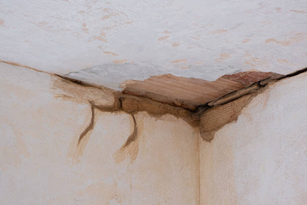 Best Basement water damage restoration  in Congress, AZ