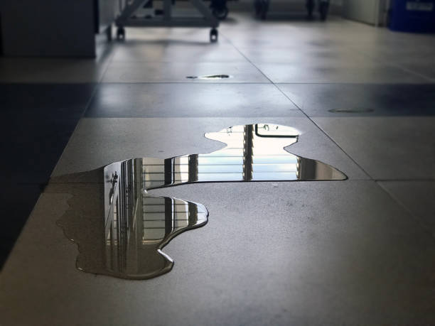Best Water damage contractors near me  in Congress, AZ