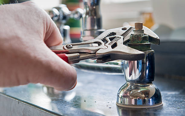 Best Mold removal after water damage  in Congress, AZ