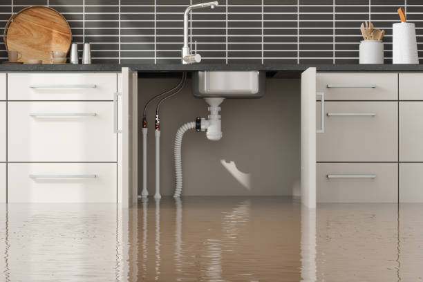 Best Ceiling water damage repair  in Congress, AZ